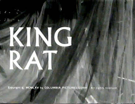 king-rat